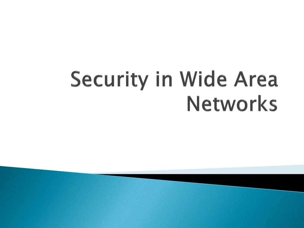 security in wide area networks