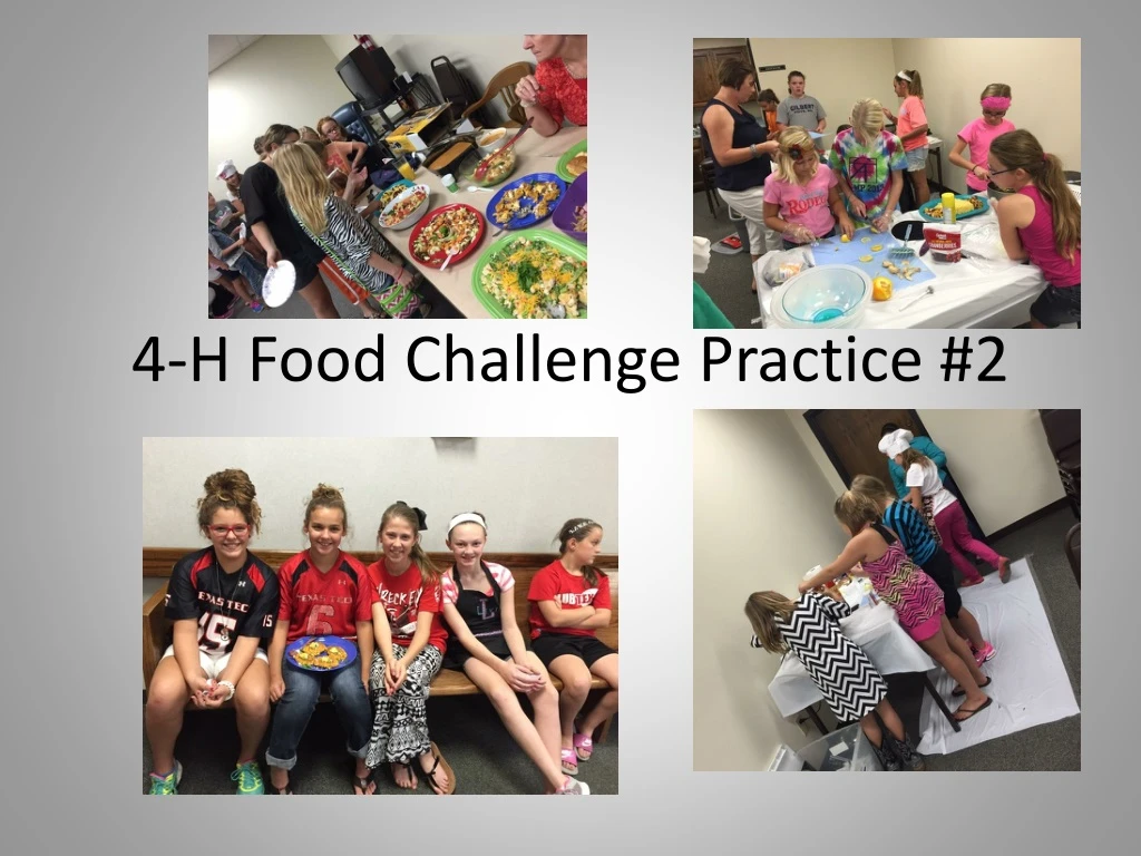 4 h food challenge practice 2