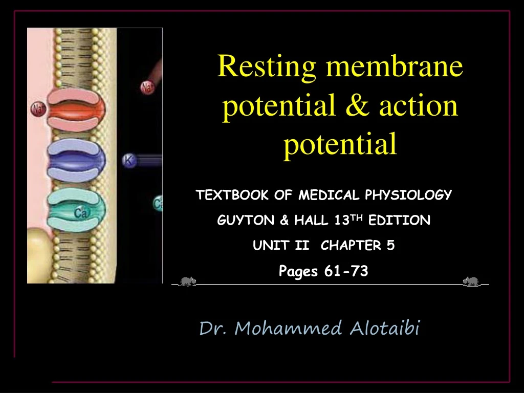 resting membrane potential action potential