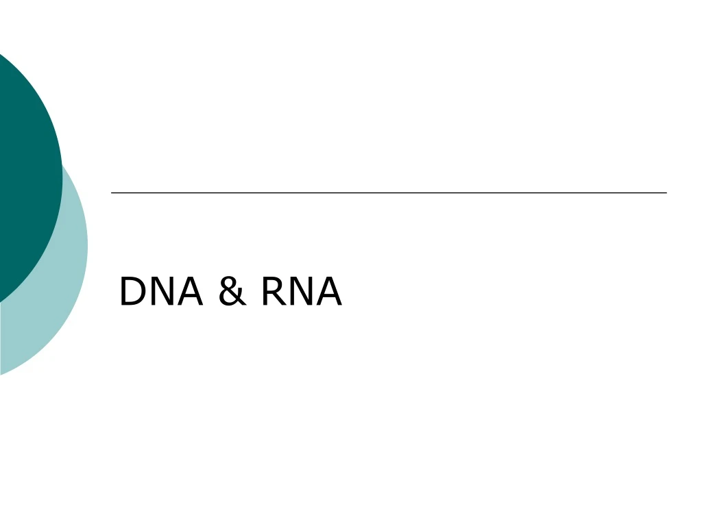 dna rna