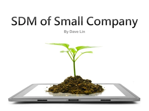 SDM of Small Company