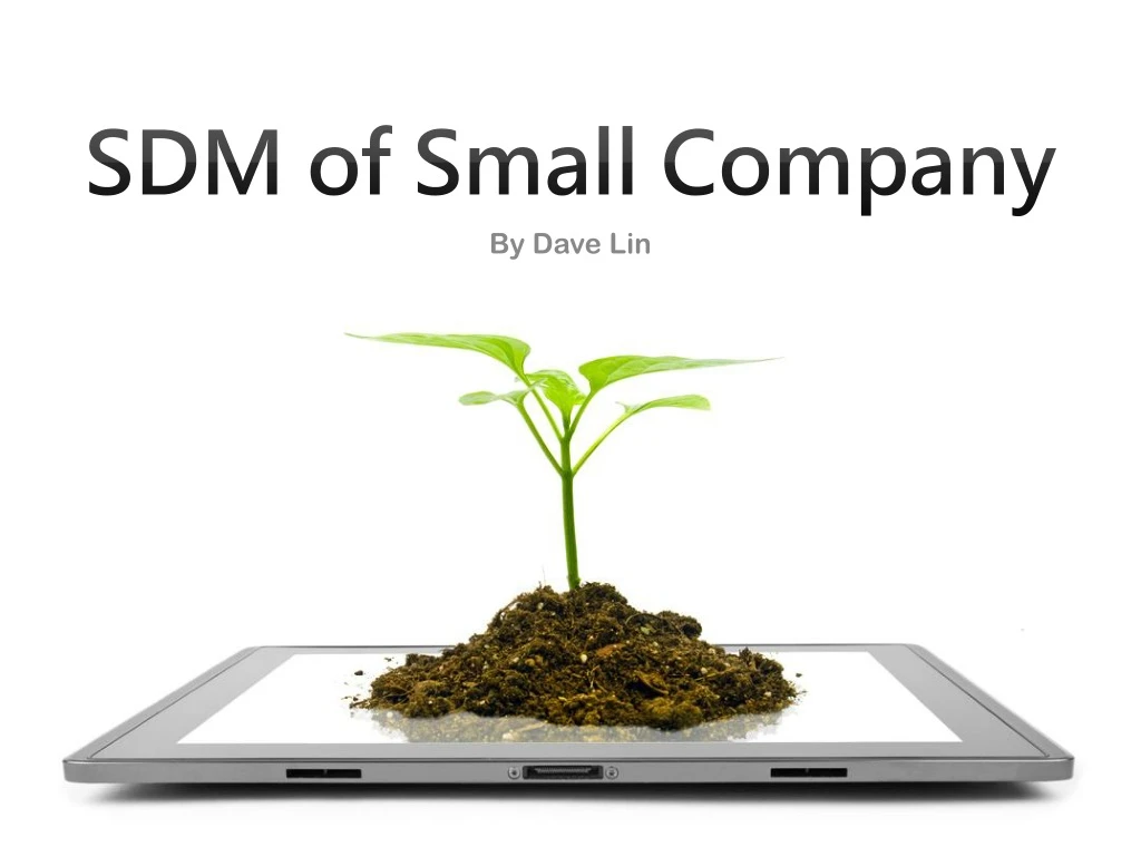 sdm of small company