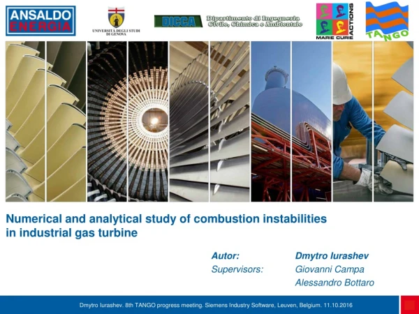 Numerical and analytical study of combustion instabilities in industrial gas turbine