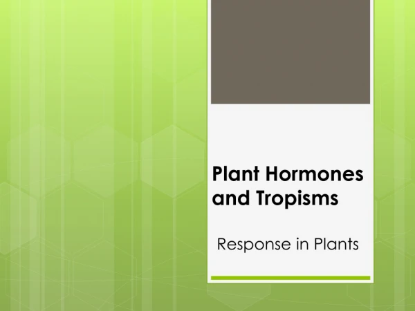 Plant Hormones and Tropisms Response in Plants
