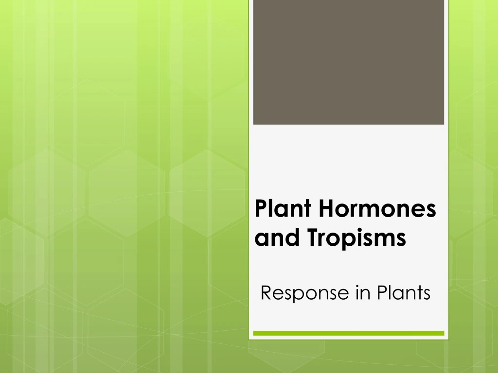 plant hormones and tropisms response in plants