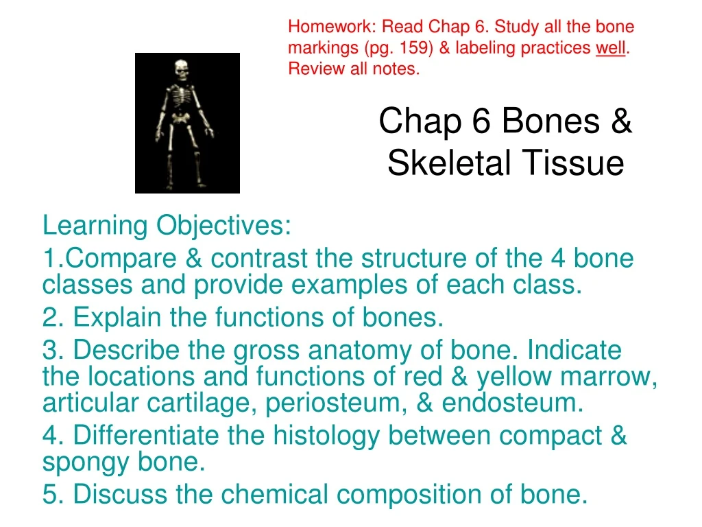 chap 6 bones skeletal tissue