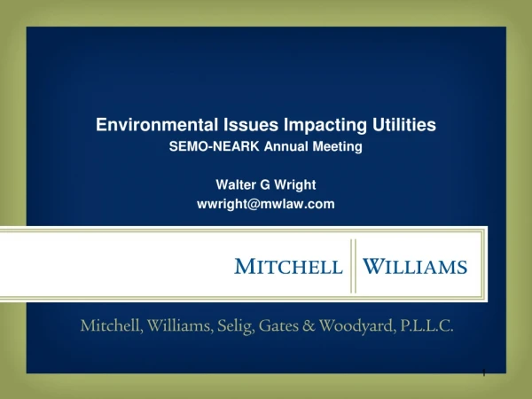 Environmental Issues Impacting Utilities SEMO-NEARK Annual Meeting Walter G Wright
