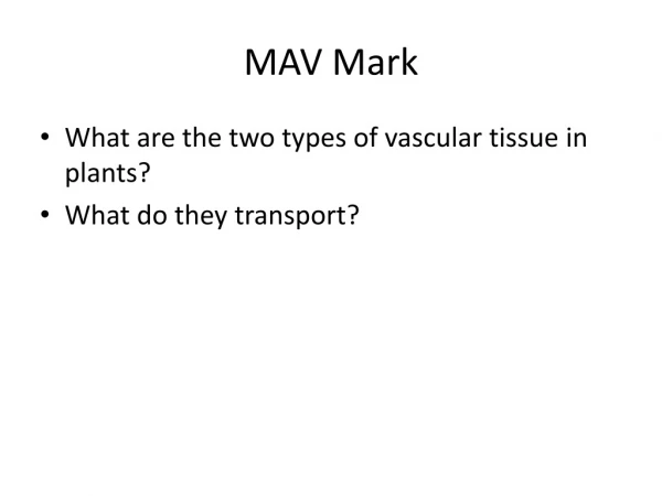 MAV Mark