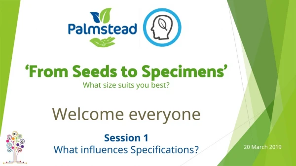 ‘From Seeds to Specimens’ What size suits you best?