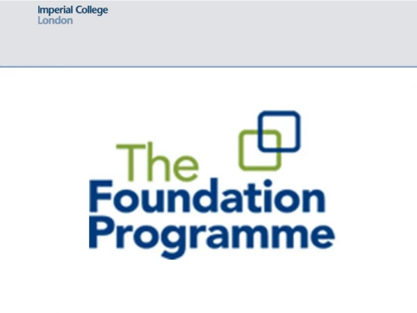 What is the Foundation Programme?