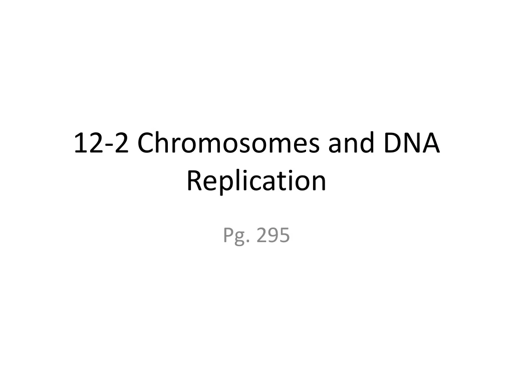 12 2 chromosomes and dna replication