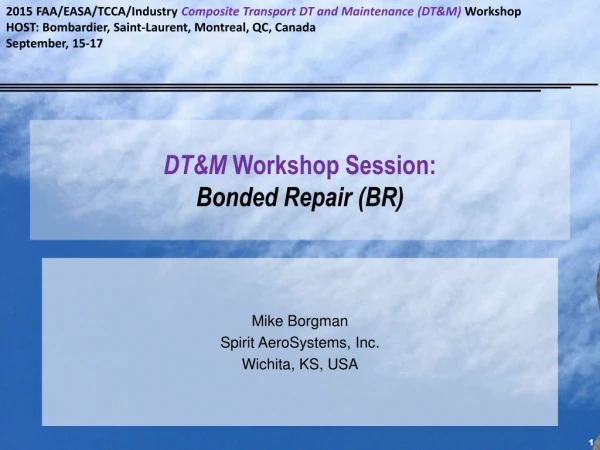 DT&amp;M Workshop Session: Bonded Repair (BR)