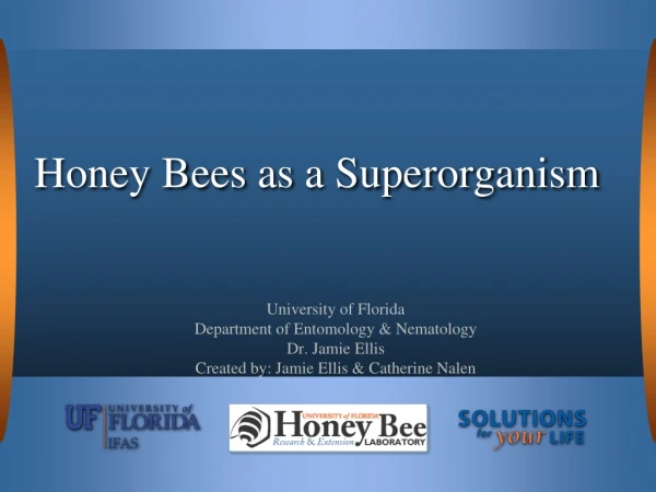 Honey Bees as a Superorganism