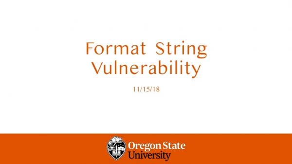 Format String Vulnerability