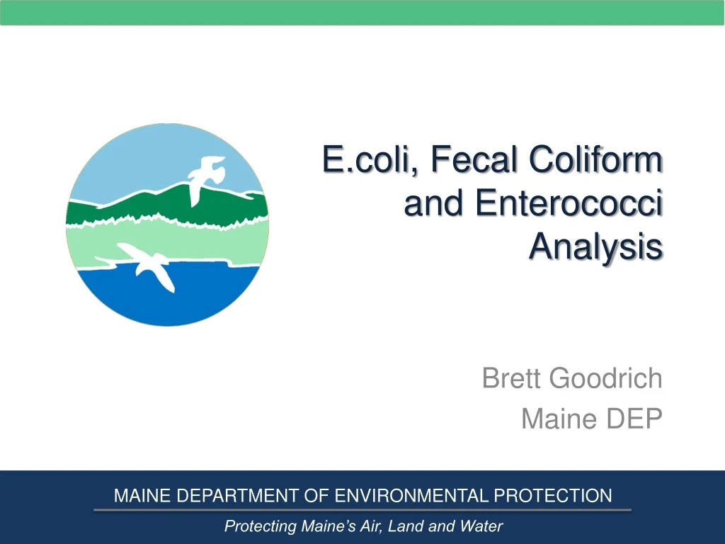 e coli fecal coliform and enterococci analysis