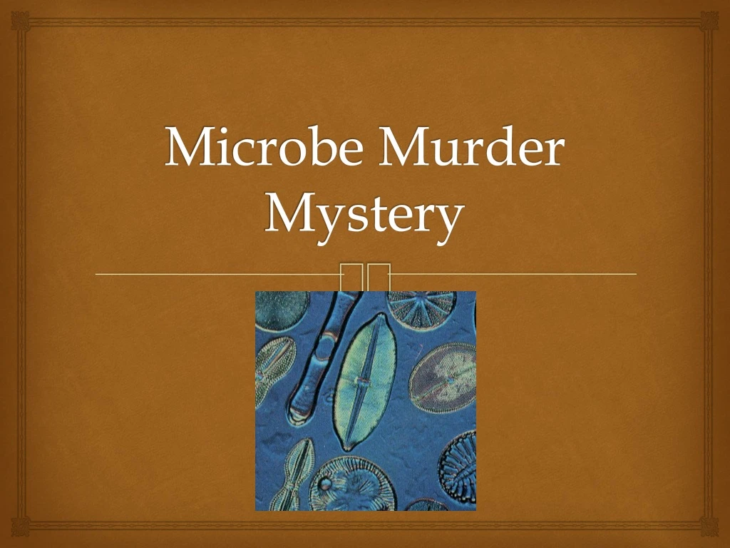 PPT - Murder Mystery 3 PowerPoint Presentation, free download - ID