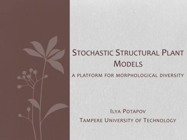 Stochastic Structural Plant Models
