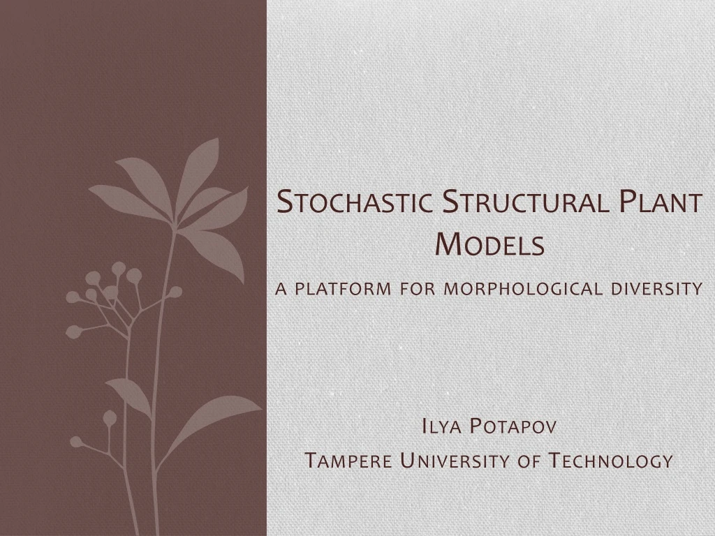 stochastic structural plant models