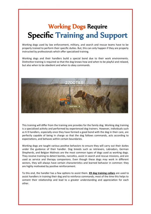 Working Dogs Require Specific Training and Support