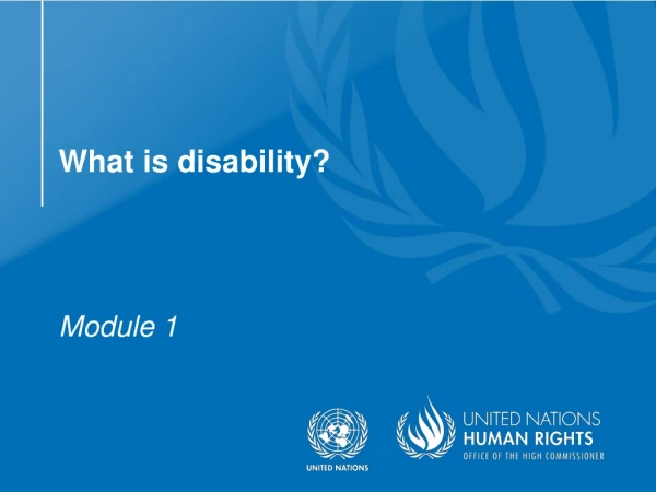 What is disability?