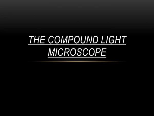 THE COMPOUND LIGHT MICROSCOPE