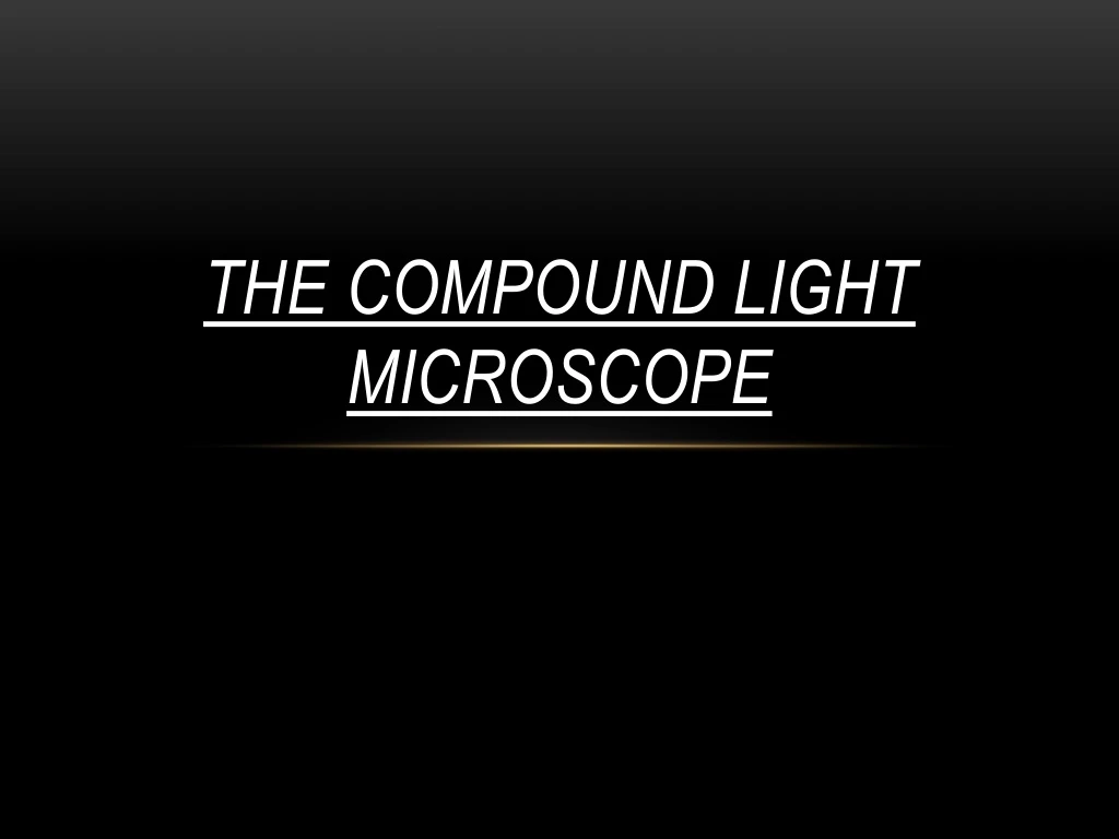 the compound light microscope