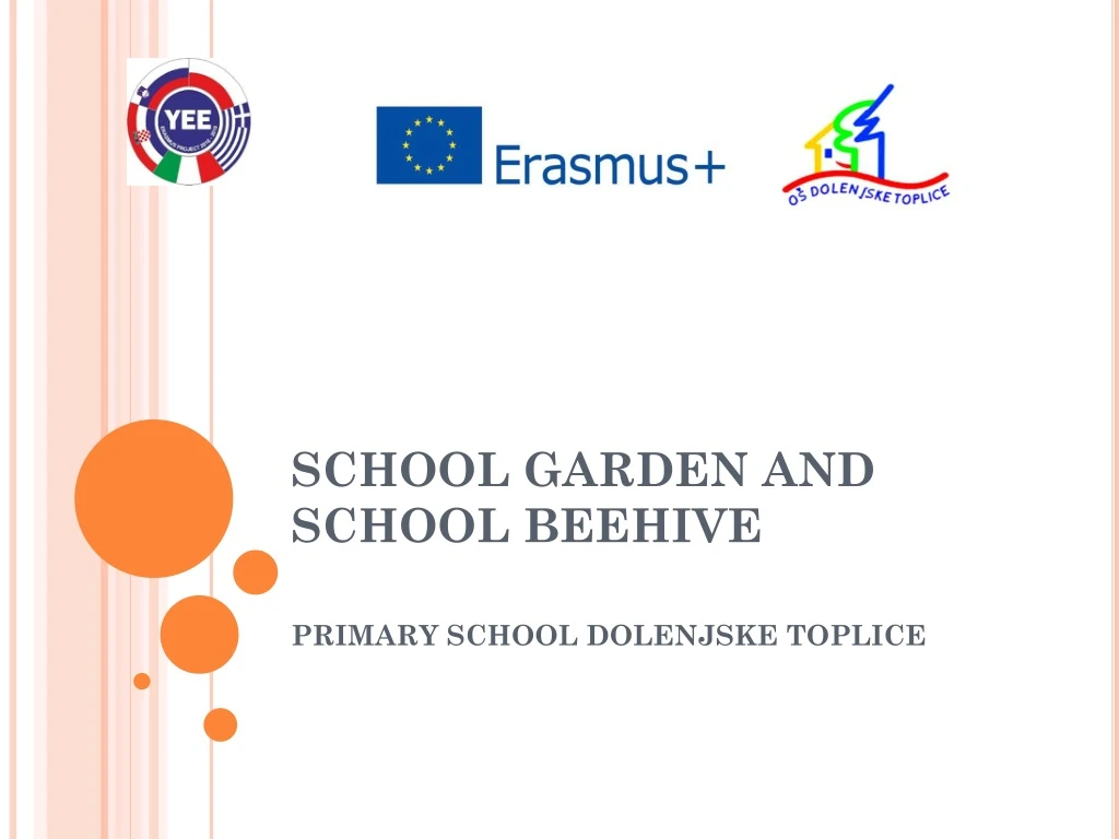 school garden and school beehive