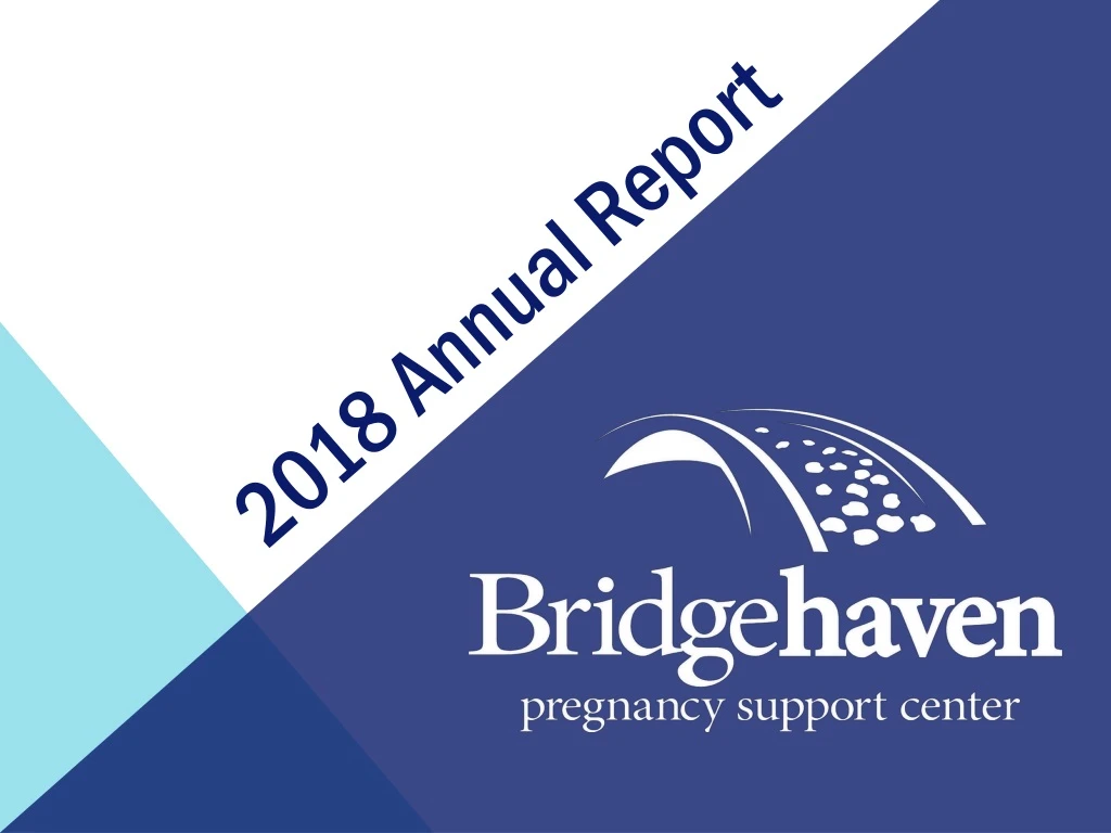 2018 annual report