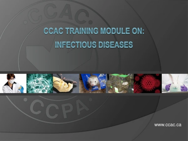 CCAC Training Module on: infectious Diseases