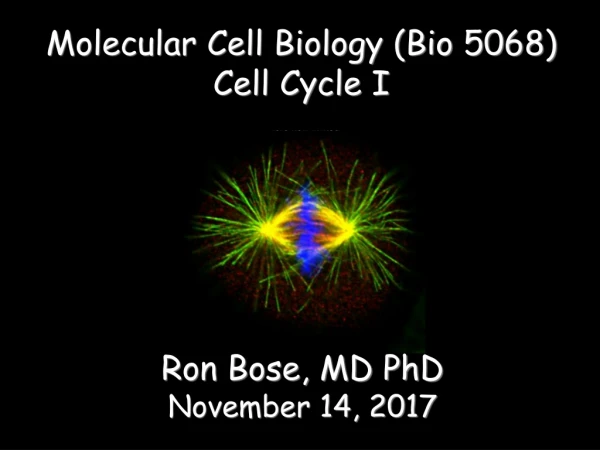 Molecular Cell Biology (Bio 5068) Cell Cycle I