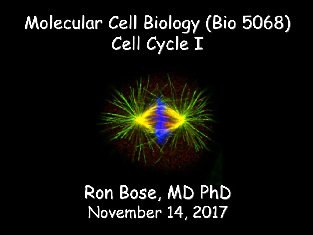 molecular cell biology bio 5068 cell cycle i