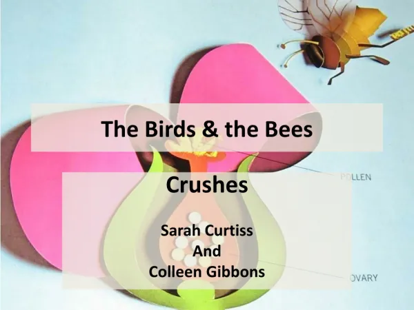The Birds &amp; the Bees