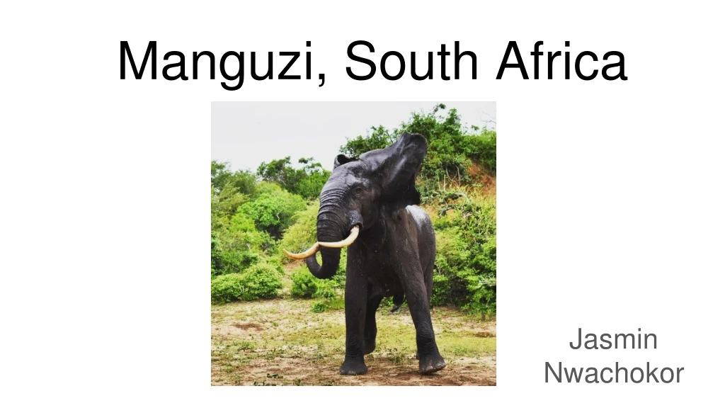 manguzi south africa