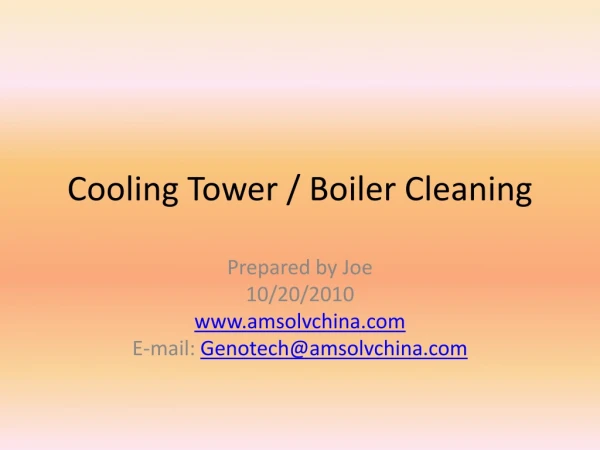 Cooling Tower / Boiler Cleaning