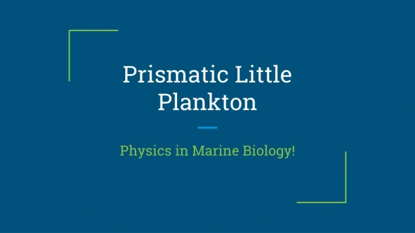 Prismatic Little Plankton