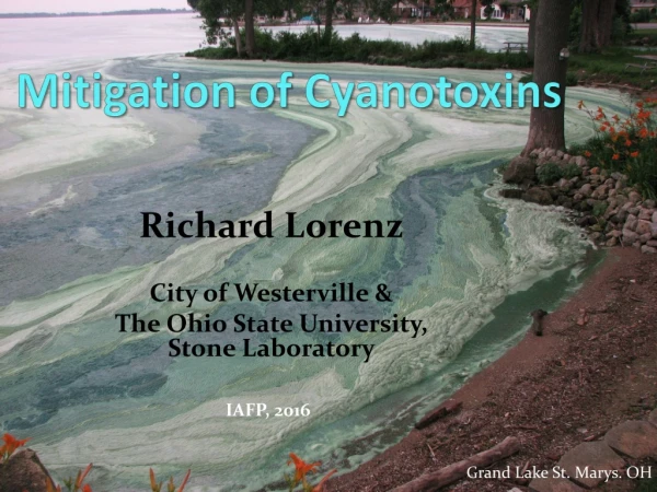 Mitigation of Cyanotoxins