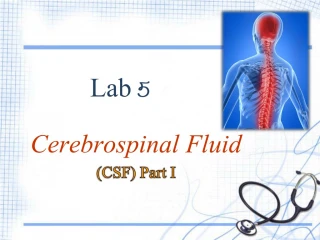 Lab 5 - slide 1