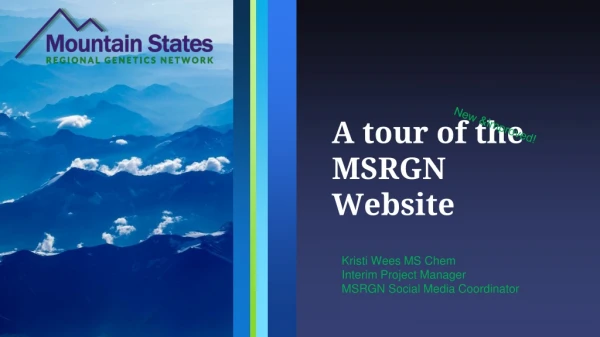 A tour of the MSRGN Website