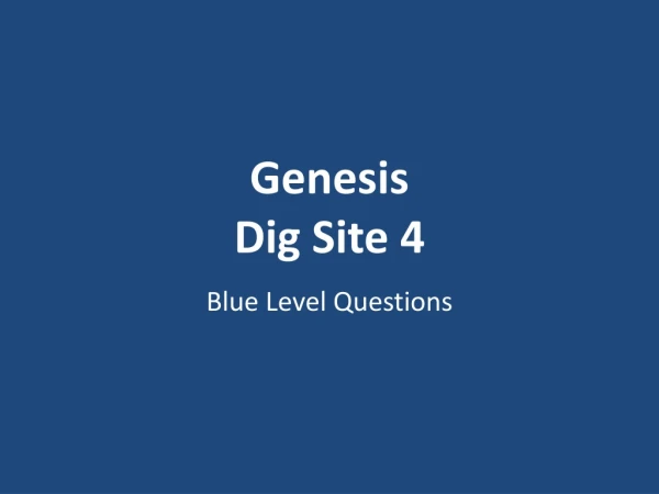 Genesis Dig Site 4
