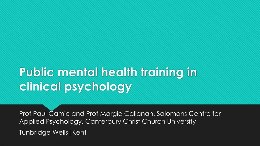 public mental health training in clinical psychology