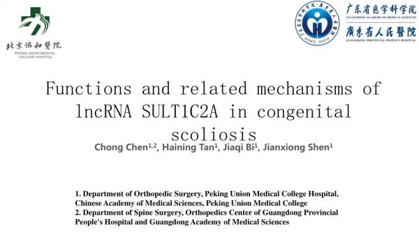 Functions and related mechanisms of lncRNA SULT1C2A in congenital scoliosis