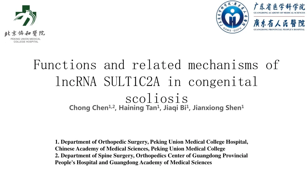 functions and related mechanisms of lncrna