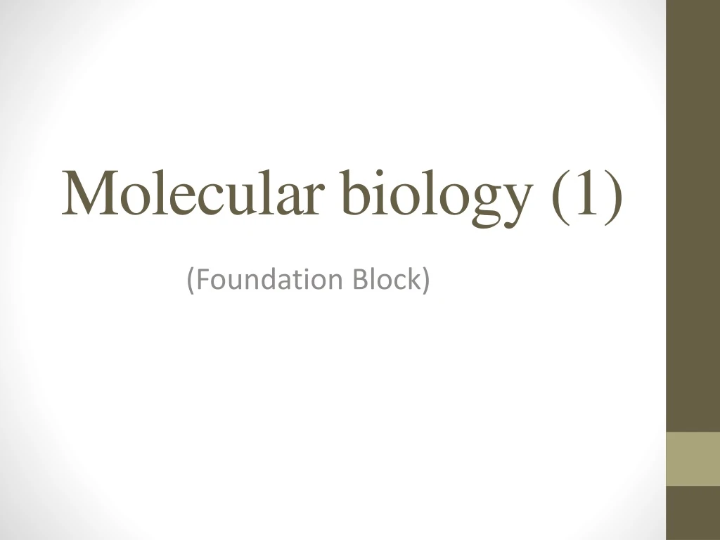 molecular biology 1