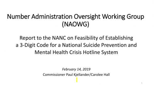 Number Administration Oversight Working Group (NAOWG)