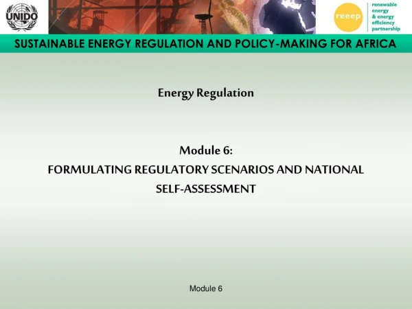 Energy Regulation Module 6: FORMULATING REGULATORY SCENARIOS AND NATIONAL SELF-ASSESSMENT