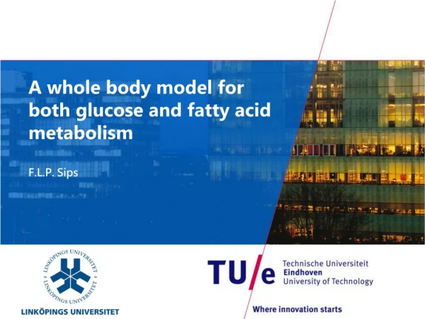 A whole body model for both glucose and fatty acid metabolism