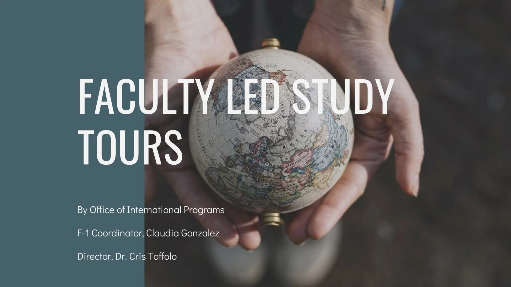 faculty led study tours