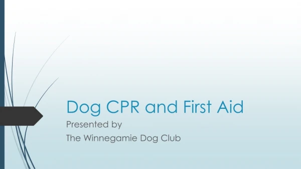 Dog CPR and First Aid
