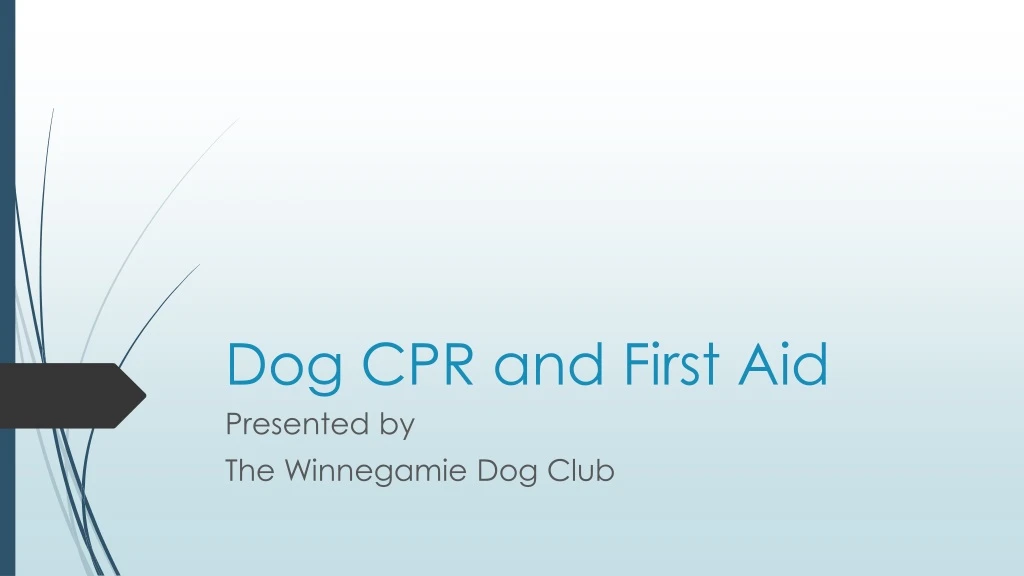 dog cpr and first aid