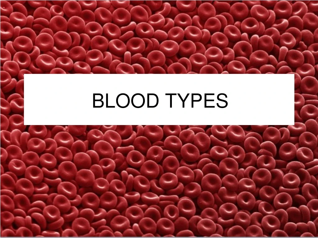 blood types